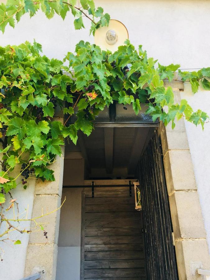 Chambre D'Hote Equestre Au Petit Bonheur Chateldon Exterior photo